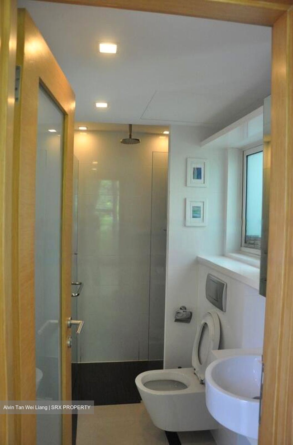 Parc Emily (D9), Condominium #458957681